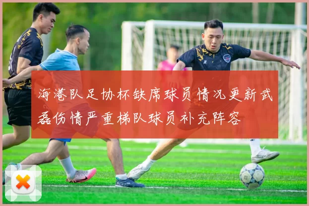 海港队足协杯缺席球员情况更新武磊伤情严重梯队球员补充阵容