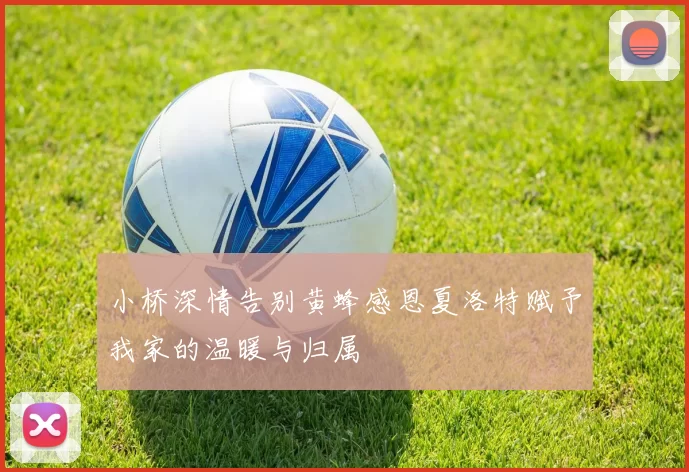 小桥深情告别黄蜂感恩夏洛特赋予我家的温暖与归属